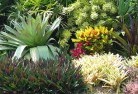 Box Ridgeplanting-garden-and-landscape-design-24.jpg; ?>