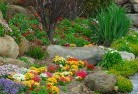 Box Ridgeplanting-garden-and-landscape-design-69.jpg; ?>